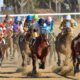 The Most Expensive Horses and Horse Races in History - AboutBoulder.com