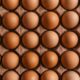 Why Fresh Eggs Are a Must-Have for Delicious and Nutritious Meals - AboutBoulder.com